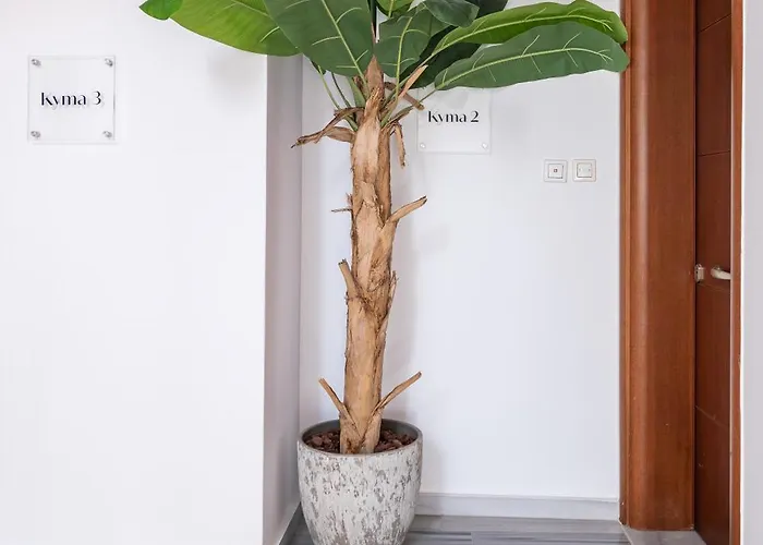 شقة Beachfront Haven, 3 Min To - Gaia 2 *